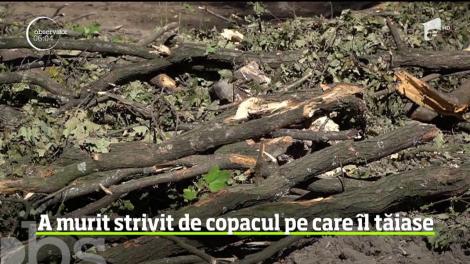 Sfârşit tragic pentru un muncitor forestier din judeţul Botoşani
