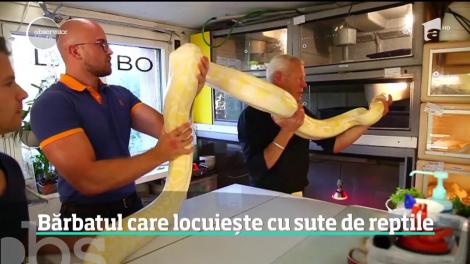 Un francez trăieşte cu 400 de reptile în casă!