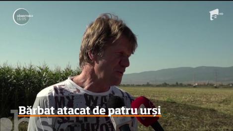 Un bărbat din judeţul Harghita a fost atacat de patru urşi