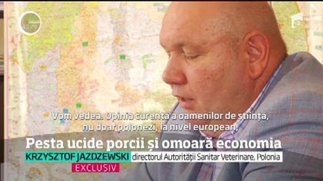 Pesta ucide porcii şi omoară economia