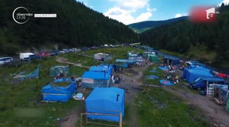 Pădurile din jurul Clujului adăpostesc o mafie