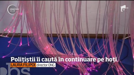 Poneii folosiţi la terapia copiilor cu dizabilităţi din Bistriţa-Năsăud au fost găsiţi