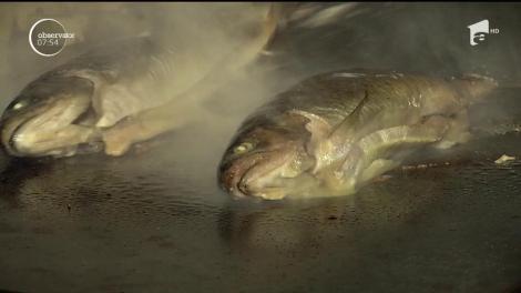 Românii sunt mari consumatori de macrou şi păstrăv