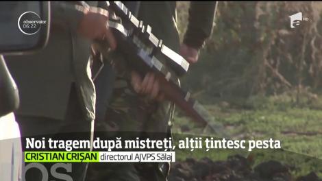 Polonia a găsit o soluţie care să nu pună în pericol populaţia sau mediul. Iată încă o lecţie poloneză despre combaterea pestei porcine