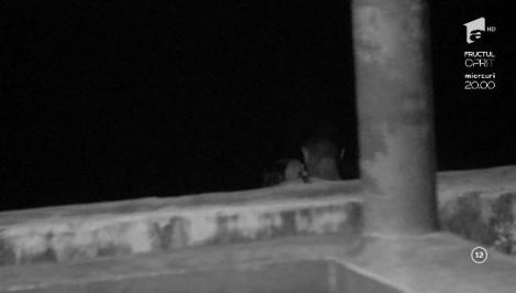 Marinela și ispita Cristi au parte de primul sărut!: ”Când sunt îndrăgostită...”