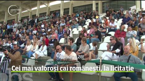 Hipodromul din Ploieşti a răsunat din nou a tropot de copite, însă nu pentru o cursă de cai, ci pentru o licitaţie