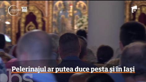 Pelerinajul anual la moaştele Sfintei Parascheva ar putea duce pesta porcină și la Iași