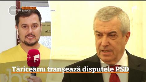 Călin Popescu Tăriceanu tranșează disputele PSD