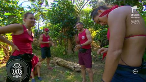 ULTIMUL TRIB! Ioana Șulea trece în echipa Lemurilor! Mircea Zamfir: ”Ne-am trezit fără șansa de a lupta și cu șase oameni...”