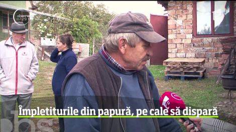 Numărul meşteşugarilor din România devine din ce în ce mai mic de la an la an!