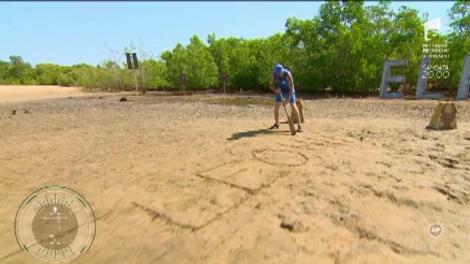 Lemurii, Crocodilii și Cameleonii își aleg liderii. Cine sunt aceștia