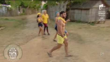 Negocieri la sânge. Tribul lemurilor a ieșit la o sesiune de shopping în sat