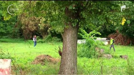 Descoperire macabră într-un parc din Bihor. Trupul fără viaţă al unui bărbat a fost descoperit de un trecător