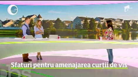 Cum ne îngrijim grădina toamna