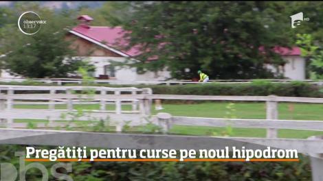 Caii crescuţi la herghelia din Cislău, pregătiți pentru curse pe noul hipodrom din Ploieşti