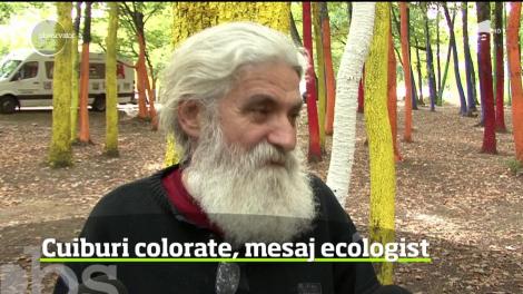 Pădurea cu copaci vopsiţi din Gorj, împânzită şi cu cuiburi viu colorate pentru păsări