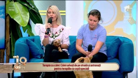 Terapia cu câini, cea mai bună pentru copiii cu dizabilități