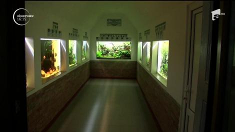 Grădina zoologică din Bârlad are o nouă atracţie! Un acvariu cu opt bazine, plin cu peşti şi reptile din Amazon