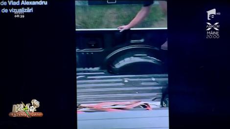 Smiley News! Cel mai neprietenos porcușor