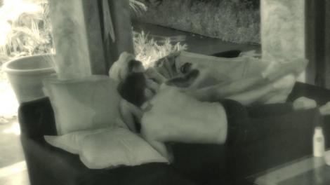 Joc al seducției PERICULOS la „Insula Iubirii”. Săruturi și atingeri fierbinți între Cristi şi Mari! Ispita: „Se joacă cu focul”