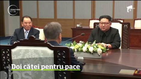 Kim Jong-Un face un nou gest prin care arată că îşi doreşte îmbunătăţirea relaţiei dintre cele două Corei
