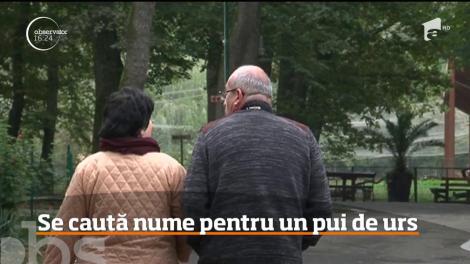 Primul pui de urs născut în captivitate, în ultimii 15 ani, la Grădina Zoologică din Tg. Mureş, are nevoie urgentă de un nume. Cu ce propuneri vin localnicii