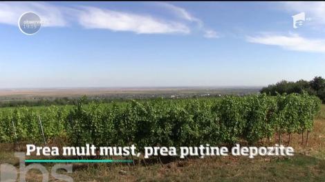 În cea mai mare podgorie din ţară, strugurii s-au făcut în cantităţi industriale şi au gustul mierii. Doar viticultorii au un gust amar