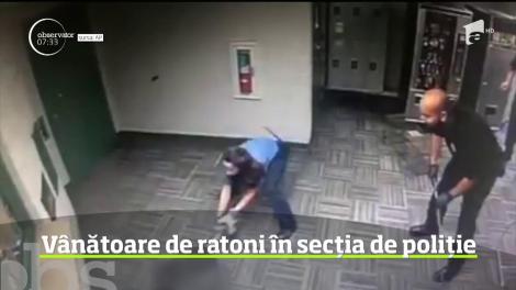 Într-un orăşel din Texas, poliţiştii au avut de-a face cu doi suspecţi foarte abili apăruţi, pe neaşteptate, în sediul lor