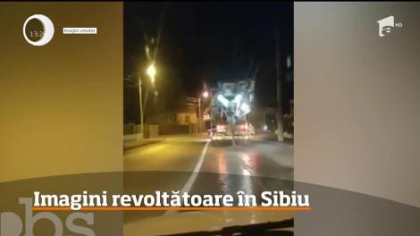 Imagini incredibile şi revoltătoare au fost surprinse pe o stradă din Sibiu!