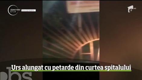 A fost alertă la Miercurea Ciuc. Un urs a ajuns până în curtea spitalului de Urgenţă din oraş