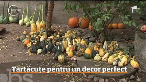 Sunt verzi sau galbene, haioase, iar în această perioadă, la mare căutare