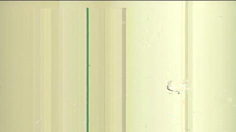 Ansamblul de percuție Cantus Mundi își deschide porțile pentru cei mici! Zoli Toth: "Cei care vor să facă parte din această gașcă, trebuie să vină la audiții"