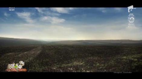 Recomandări de weekend, 6 -7 Octombrie 2018. Cum îți poți petrece timpul liber