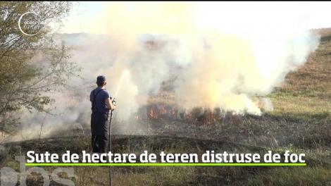 Sute de hectare de vegetaţie au fost mistuite de incendii în judeţul Mehedinţi