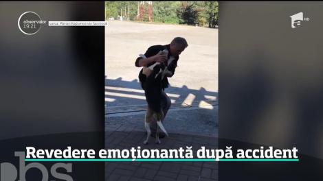 Revedere plină de emoţie dintre un bărbat şi căţelul lui