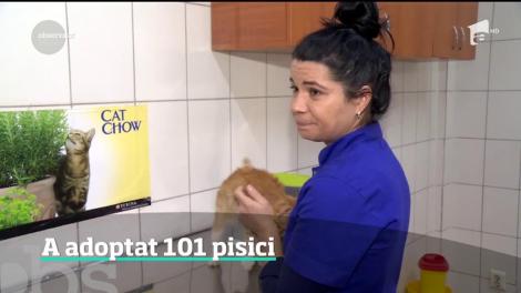 O tânără din Călăraşi a adoptat 101 de pisici