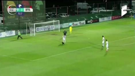 Câinele năzdrăvan, vedetă pe terenul de fotbal