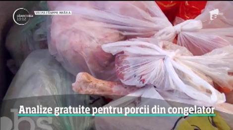 Statul îi cheamă pe ţărani la analize gratuite pentru porcii din congelator