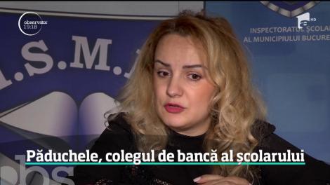 E jale în multe școli din România. Noul an şcolar a început cu o invazie de păduchi!