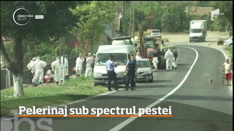 Pelerinajului la Sfânta Parascheva, sub spectrul pestei porcine africane