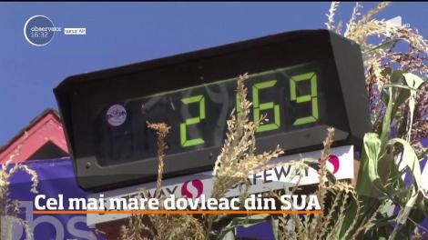 Aproape o tonă, atât cântărește cel mai mare dovleac din SUA