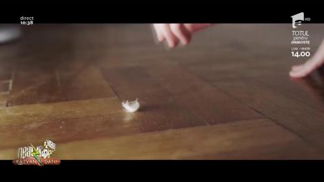 Ăsta e imnul sufletelor rănite în dragoste! Andreea Bălan și Edward Sanda au lansat melodia "Pe drum": "Vrei să-mpărțim vina la doi!