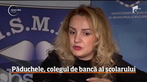 Noul an şcolar a început cu o invazie de păduchi în şcoli