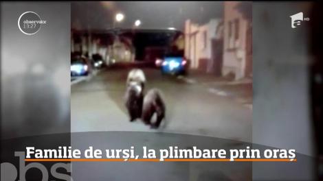 Imagini devenite parcă o obişnuinţă au fost filmate în Făgăraş