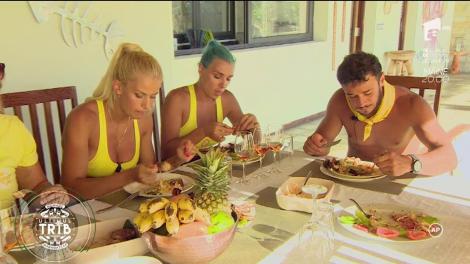 Lemurii au ajuns la vila de lux: "Avem duș, mâncare, hai repede să punem masa"