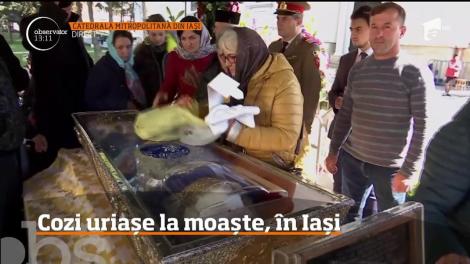 Zeci de mii de pelerini au făcut noapte albă, pentru a ajunge la raclele în care se află moaştele Sfintei Parascheva şi cele ale Sfintei Ecaterina