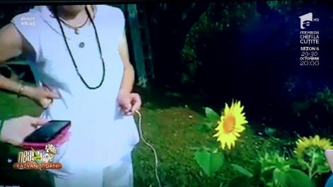 Ce sunet scoate floarea-soarelui! Te vei duce în primul lan ca să te convingi! (VIDEO)