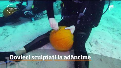 Au mai rămas două săptămâni până la Halloween, iar americanii au dat startul competiţiilor inedite cu dovleci
