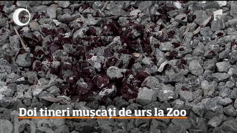 Clipe de groază la Grădina Zoologică din Bârlad