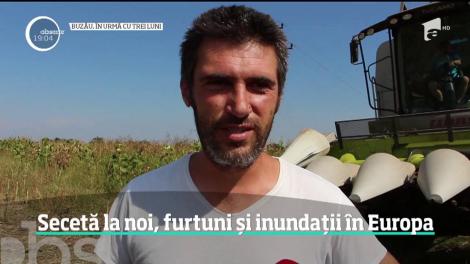Toamna arată ca vara şi este semn rău. România este lovită de o secetă devastatoare, ca niciodată în ultimii 60 de ani